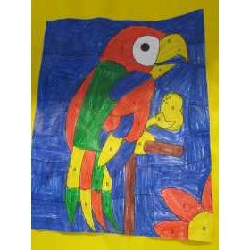 Kleuren op cijfer papegaai